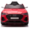 Lean Cars Elektromobilis vaikams Audi E-Tron QLS-6688 raudonas