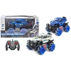 Auto R/C visureigis