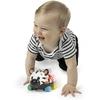 OBALL BABY EINSTEIN veiklos žaislas-barškutis Curious Car Zen, 16772