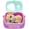 Baby Paws - ką tik gimęs šuniukas (264-923478)