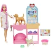 Barbie Barbė - Greitųjų menų gyvūnų veterinarijos klinika (JFX93)