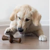 Benebone - Zaggler žemės riešutas - S - 6 cm - (854111004545)