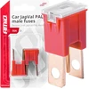 „Japval PAL“ automobilio saugikliai, 2 vnt., 50A, amio-03399