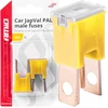 „Japval PAL“ automobilio saugikliai, 2 vnt., 60A, amio-03400