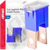 Japval PAL vyriški automobilio saugikliai, 2 vnt., 100A, amio-03403
