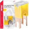 Japval PAL vyriški automobilio saugikliai, 2 vnt., 60A, amio-03409