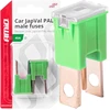 Japval PAL vyriški automobilio saugikliai, 2 vnt., 40A, amio-03398