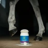 Biofarmab - sąnarių stipriklis - 450 g