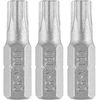 Bity Torx antgaliai T30 x 25 mm, 3 vnt.