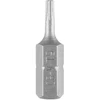 Bity Torx antgaliai T9 x 25 mm, 3 vnt.