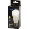 Blow LED lemputė E27 15W A60 230V