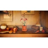 Botany Botanikos dvaras (Nintendo Switch)