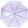BQ13C Permatomas violetinis skėtis