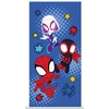 Brandmacdisney Rankšluostis - 70 x 140 cm - Voras (1029471)