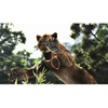 Cabela's Dangerous Hunts 2013 (PlayStation 3)