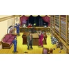 Capcom Ace Attorney Investigations Collection (Import)