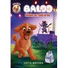 KNYGA Carlsen Baloo – Balladen om rockstjernen