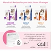 Catit - aukščiausios kokybės sausas kačiukų maistas - su vištiena - 2kg