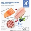 Catit - Receptai Premium sausas kačių maistas - suaugusioms žuvims - 400 gramų, geriausias iki 2026 m. gegužės 31 d.