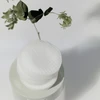 Celimax Ji Woo Gae Heartleaf BHA Peeling Pad padeliai visų tipų veido odai, 60 vnt.