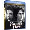 Classic Movies Rumble Fish - (Francis Ford Coppola pristato) - riboto leidimo BLU RAY