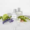 Clean Classic Spring Breeze EDP parfumuotas vanduo moterims, 30 ml