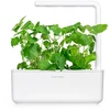 Click Grow „Click and Grow“ – išmaniojo sodo papildymo pakuotė, 3 vnt. – katžolė (SGR29X3)