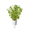 Click Grow „Click and Grow“ – išmaniojo sodo papildymas, 3 raudonėlių pakuotė