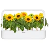 Click Grow „Click and Grow“ – išmaniojo sodo papildymas, 3 vnt. pakuotė – mini saulėgrąžos, 100 % be žiedadulkių ir lengvai auginamos – mini – geltonos