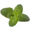 Click Grow „Click and Grow“ – išmaniojo sodo papildymo pakuotė, 3 vnt. – obuolių ir mėtų skonio (SGR79X3)