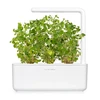 Click Grow „Click and Grow“ – išmaniojo sodo papildymas, 3 raudonėlių pakuotė
