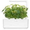 Click Grow „Click and Grow“ – „Smart Garden“ papildymas, 3 vnt. Tailando bazilikų