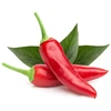 Click Grow „Click and Grow“ – „Smart Garden“ papildymo pakuotė, 3 vnt. – čili pipirai (SGR6X3)
