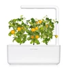 Click Grow „Click and Grow“ – „Smart Garden“ papildymas, 3 geltonų pomidorų pakuotė