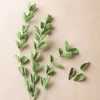 Creativ Company - Krepinis popierius (209003)