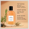 David Beckham Amber Breeze EDP parfumuotas vanduo vyrams, 50 ml