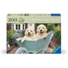 Dėlionė Ravensburger – auksaspalvio retriverio 200p reklama – (12001368)