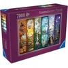 Ravensburger Dėlionė 7000 vnt. - Fantazija