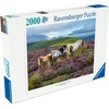 Dėlionė Ravensburger - Laukiniai arkliai 2000p (12001751)