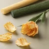Diy Kitcreative Toys „Pasidaryk pats“ rinkinys – krepinis popierius, 1 vnt. (977534)