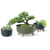 Gėlių vazonas Prosperplast Gracia DGRL400L-443U, 38x 19.5 cm