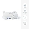 Doomoo migdukas - pilvelio šildyklė nuo diegliukų Snoogy Bunny Milky