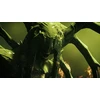 „Dragon Age III (3): Inquisition“ – „XBOX 360“