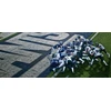 EA Sports NFL Madden 27