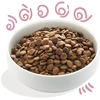 Edgard Cooper - šviežia laisvai nardytų antienų ir vištienos pašaras šuniukams - 12 kg - (542503948523)