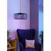 „Eglo“ – „Ginestrone-Z“ išmanusis pakabinamas šviestuvas Ø45 – juodas – RGB + reguliuojamo baltumo – „Zigbee“ ir „Bluetooth“
