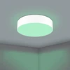 „Eglo“ – „Romao-Z“ išmanusis lubinis šviestuvas – Ø57 cm – RGB + balta spalva – „Zigbee“ ir „Bluetooth“