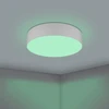 Eglo - Romao-Z lubinis šviestuvas Ø57 pilkas - RGB + TW - išmanusis Zigbee ir Bluetooth valdymas