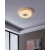„Eglo Totari-Z“ išmanusis lubinis šviestuvas Ø56 – chromo ir baltos spalvos su krištolo efektu – „Zigbee“ ir „Bluetooth“