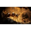Empire of the Ants - PlayStation 5